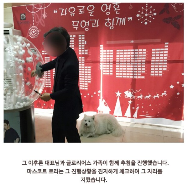 64Bv6Mgu73llSGblp2V9UEM-1-8.jpg image