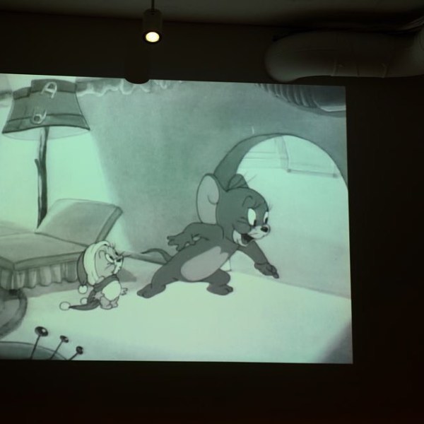 13743492_264804107223328_907359442_n